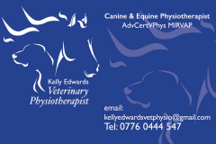 Cards for Equine specialist