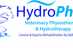 Hydro logo